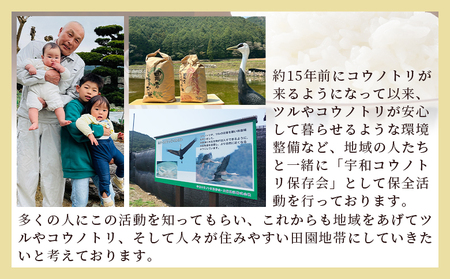 【先行予約】新米 ＜令和8年産 コシヒカリ「つるの寝どこまい」約10kg 西予市宇和町産＞ 2026年産 こしひかり お米 コメ こめ 白米 精米 ご飯 ごはん 穀物 ライス SDGs 共生 楠 健明 愛媛県 西予市【常温】『2026年9月上旬から順次出荷予定』 UKK0002