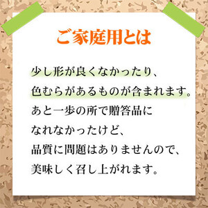 【2026年8月下旬より発送】ご家庭用 岡山県産 シャインマスカット 晴王 400g×2房  岡山県産 シャインマスカット