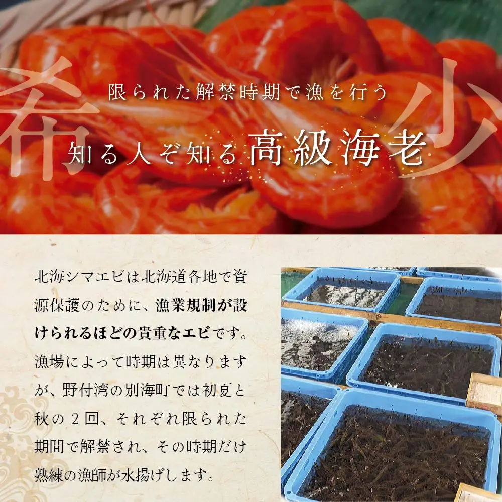  北海道野付産 北海シマエビ特大2L 計1kg(500g×2) 別海町 シマエビ