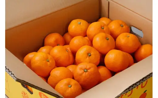 ご家庭用 こだわりの 有田 みかん 4kg＋150g(傷み補償分) 【12月発送予定】 / 温州みかん 光センサー選別 柑橘 甘い 果物 和歌山 ※北海道・沖縄・離島配送不可【nuk004-c-4-decH】 