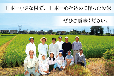 【6ヶ月定期便】【一等米100％】米 令和7年産 ばんどり米（コシヒカリ）精米 5kg 計30kg