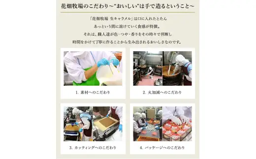 花畑牧場 生キャラメル プレーン 8粒入り×6セット 【沖縄配送可】キャラメル お菓子 おやつ 冷蔵 [002-0083]