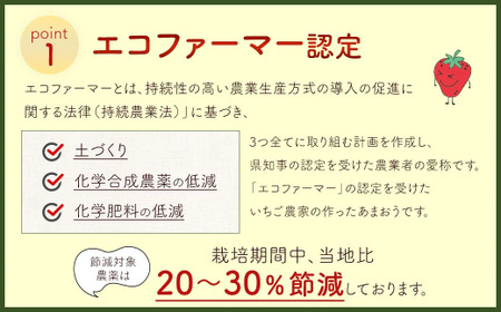 【2027年 3月発送】【アフター対応】特別栽培あまおう 約300g×4パック イチゴ 苺 いちご ※北海道・沖縄・離島配送不可