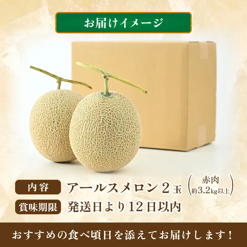 【先行予約】アールスメロン 2玉（約3.2kg以上）赤肉品種 高級メロン！ ／ マスクメロン 大玉 果物 フルーツ 夏 ギフト 農家直送 ※2027年6月下旬以降順次発送 [aw065-a014]