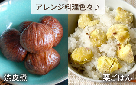 【先行予約】奥能登 池田栗園の能登栗 5kg  / 栗