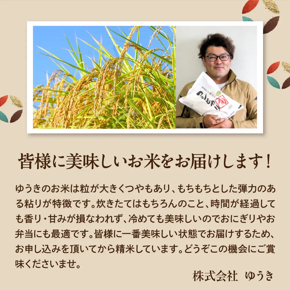 【2026年12月中旬発送】【令和8年産米】新潟県妙高産斐太の里コシヒカリ「旬」5kg