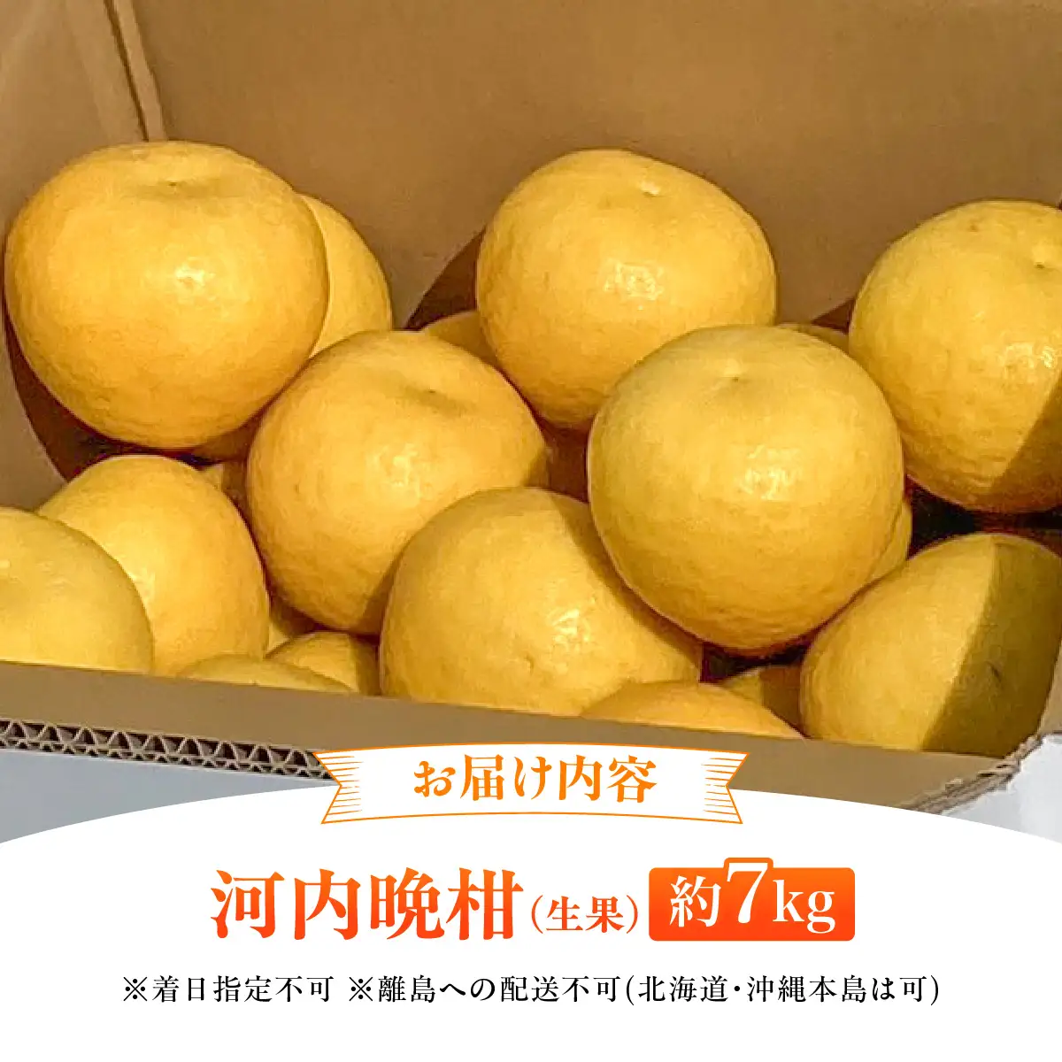【先行予約】【数量限定】田縁農園の河内晩柑約7kg ※離島への配送不可 （2027年4月10日より順次発送） IKTA020