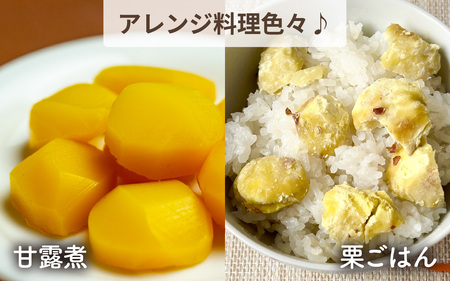 【先行予約】池田栗園の能登栗（むき栗）600g（300g × 2パック） / 栗