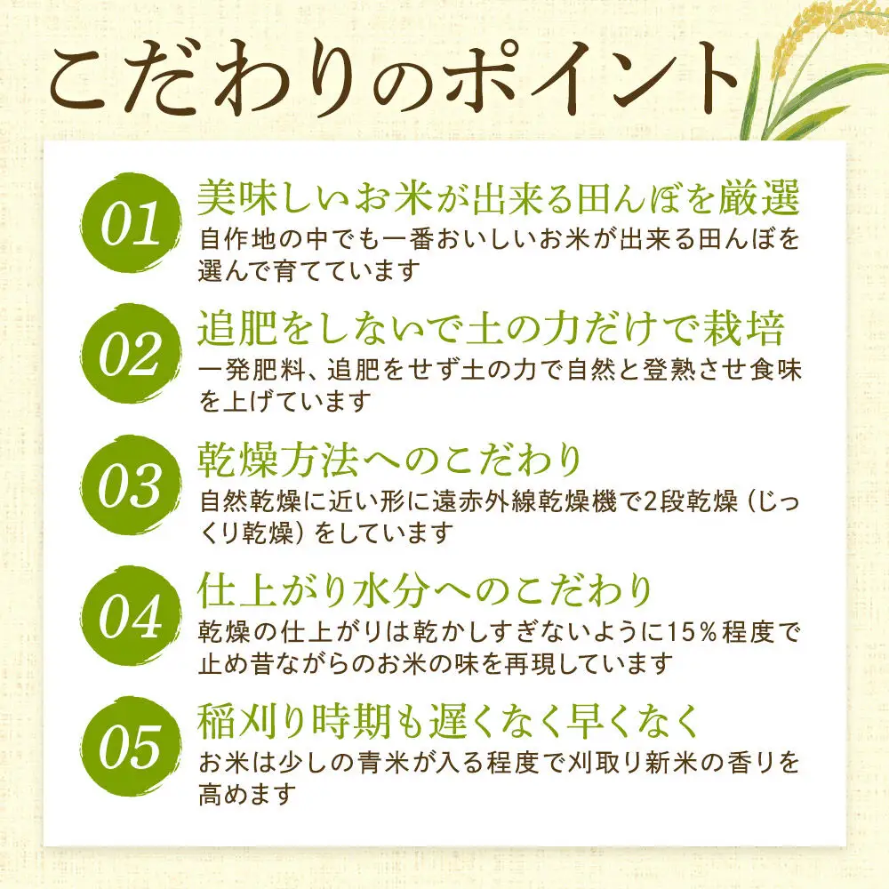 ＜令和8年産新米予約＞米【白米】秋田県産 あきたこまち ヤチ田で育てたお米 精米 10kg