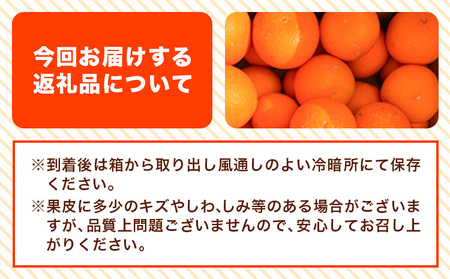 【ご家庭用】 清見 オレンジ 約7.5kg オレンジ