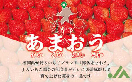 博多あまおう（春） 約250g～270g×2パック 計約500g～540g【2027年2月上旬-4月下旬発送予定】 いちご 苺 イチゴ 果物 フルーツ