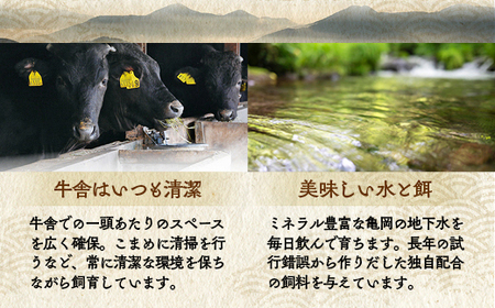 【6回定期便】亀岡牛お楽しみ 牛肉 食べ比べセット 牛肉