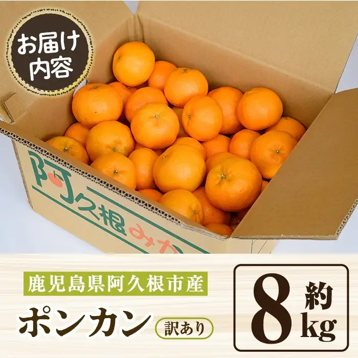 ＜先行予約受付中！2026年12月下旬以降順次発送予定＞ 訳あり！ポンカン(約8kg) 国産 ポンカン 柑橘 果物 フルーツ デザート 果実 期間限定 数量限定【古田果樹園】akn093-05