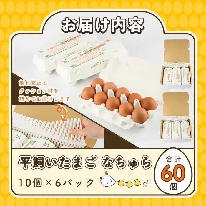 平飼い卵 なちゅら(計60個・10個×6P) 卵 玉子 鶏卵 卵かけご飯 玉子焼き【108800500】【カジワラファーム】