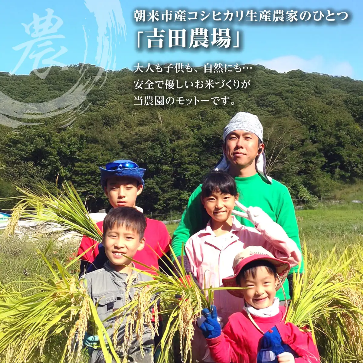 米【定期便12回】コシヒカリ5kg R8年産