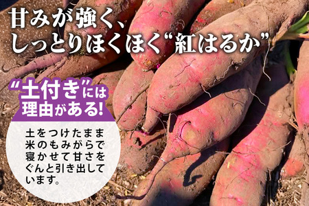 ねっとり甘々！茨城県名産べにはるか平干し芋800g(400g×2袋） B15-002