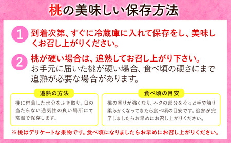 あら川の桃 約1.1kg 室谷青果