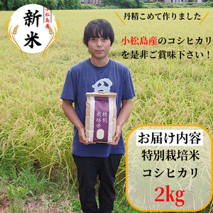【2026年9月順次発送】令和8年産 新米 白米 2kg 特別栽培米 コシヒカリ