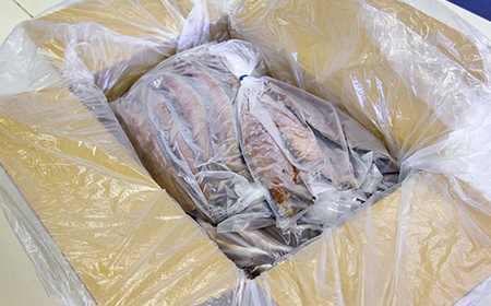 干物 【大島水産】国産干物詰合せセット