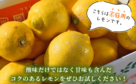 【先行予約】＜天晴レモン ご家庭用 約3kg＞ フルーツ 果物 くだもの レモン れもん 檸檬 柑橘 訳あり わけあり ワケアリ 自宅用 料理 国産 国産レモン 愛媛県産 特産品 株式会社笑丸 愛媛県 西予市【常温】『2026年9月から順次出荷予定』AAN0044