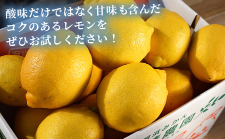 【先行予約】＜天晴レモン 贈答用 約3kg＞ フルーツ 果物 くだもの レモン れもん 檸檬 柑橘 プレゼント 贈り物 お返し お礼 ギフト アレンジ 料理 国産 国産レモン 愛媛県産 特産品 株式会社笑丸 愛媛県 西予市【常温】『2026年9月から順次出荷予定』AAN0047
