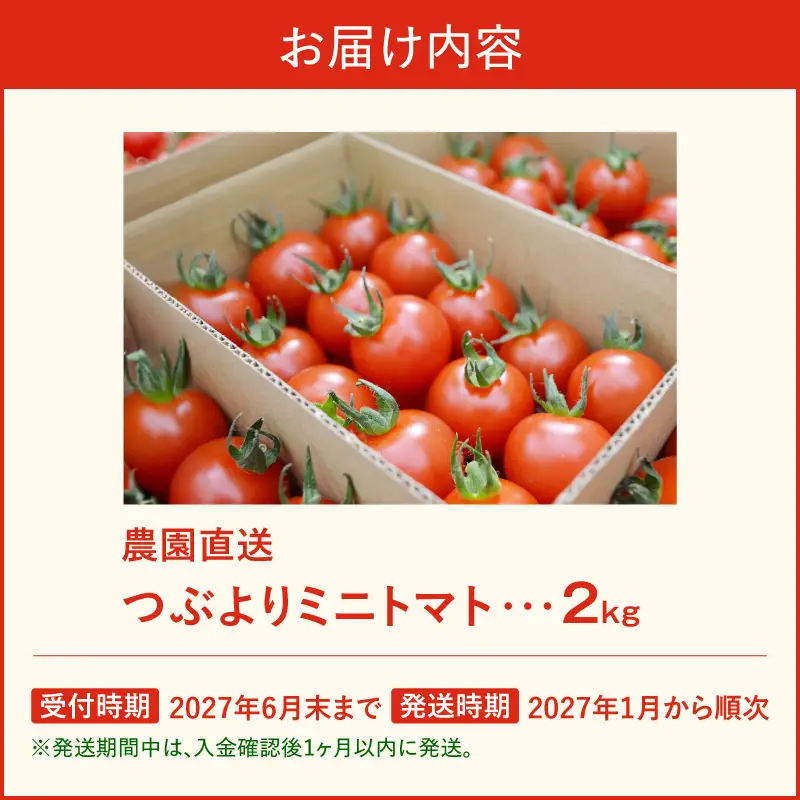 【先行予約】≪2027年1月より順次発送≫農園直送 つぶより ミニトマト 2kg入り