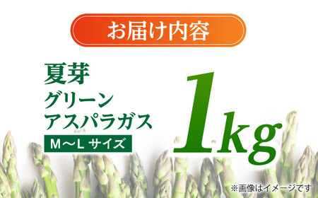 【先行予約】  山鹿の恵み アスパラガス 夏芽　MからLサイズ 1kg【本田仁】[ZFN001]