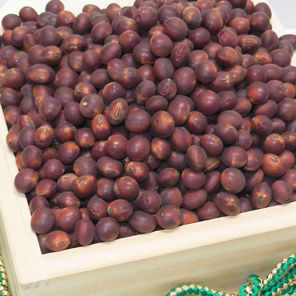 熊本県産 赤大豆きなこ丸ぼうろ 8枚入×4袋 和菓子[AYAB041]