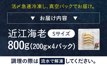 近江海老 800g(Sサイズ)[AQBA010]えび 近江海老 エビ