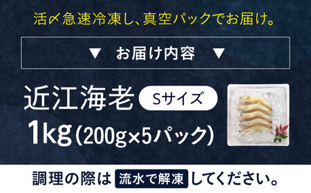 近江海老 1kg(Sサイズ)[AQBA011]えび 近江海老 エビ