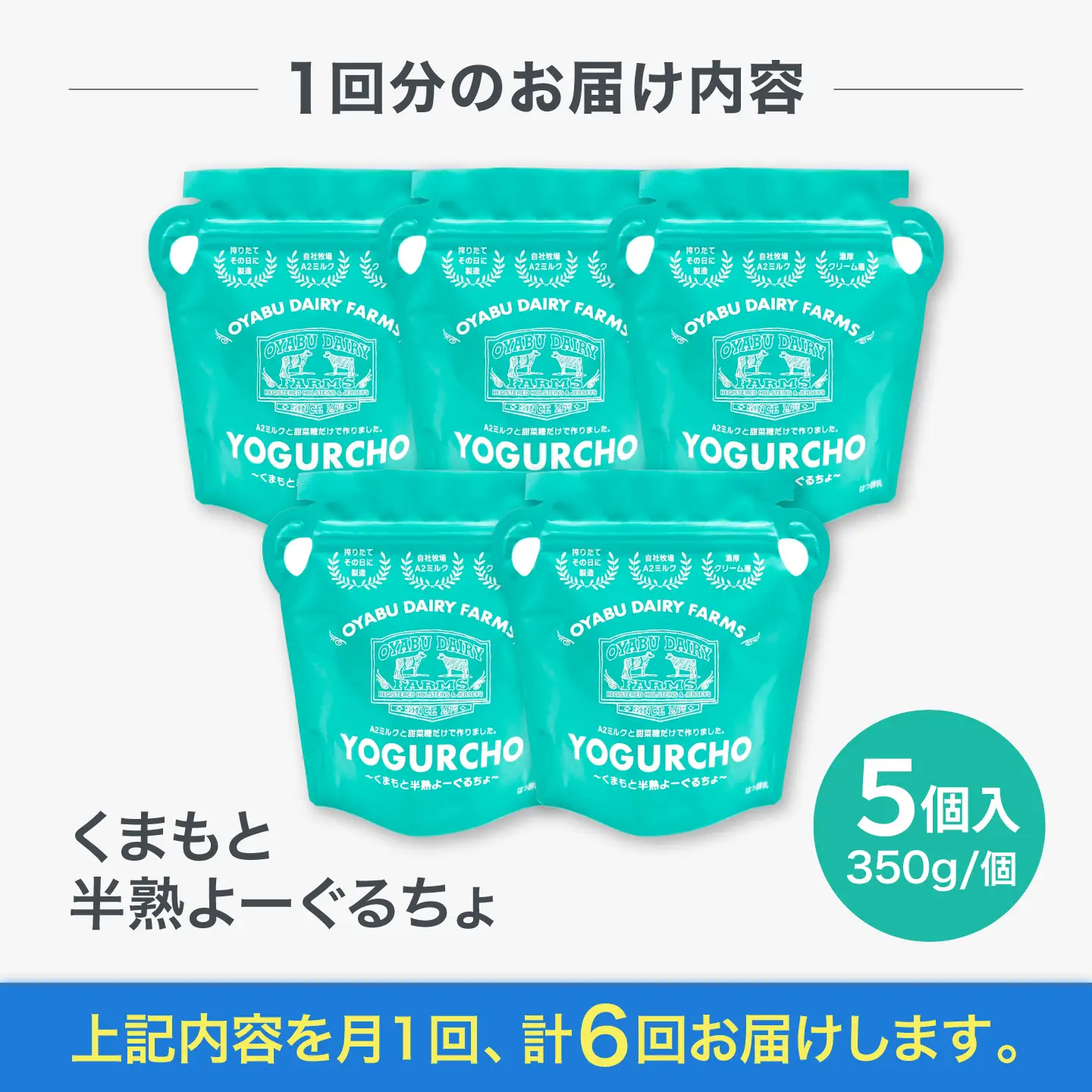 【全6回定期便】オオヤブデイリーファーム くまもと半熟よーぐるちょ 350g×5個ヨーグルト[AYAE006]