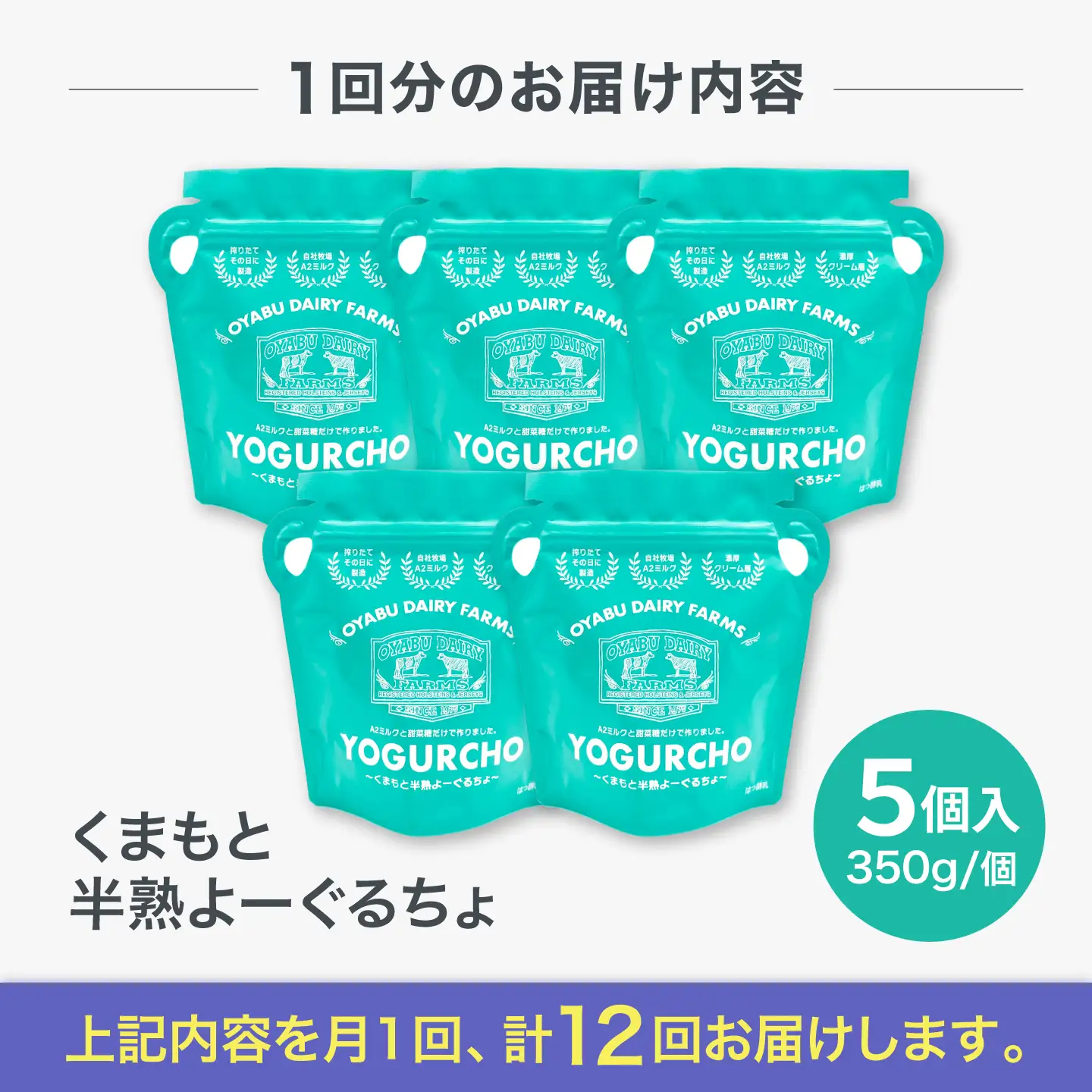 【全12回定期便】オオヤブデイリーファーム くまもと半熟よーぐるちょ 350g×5個ヨーグルト[AYAE024]