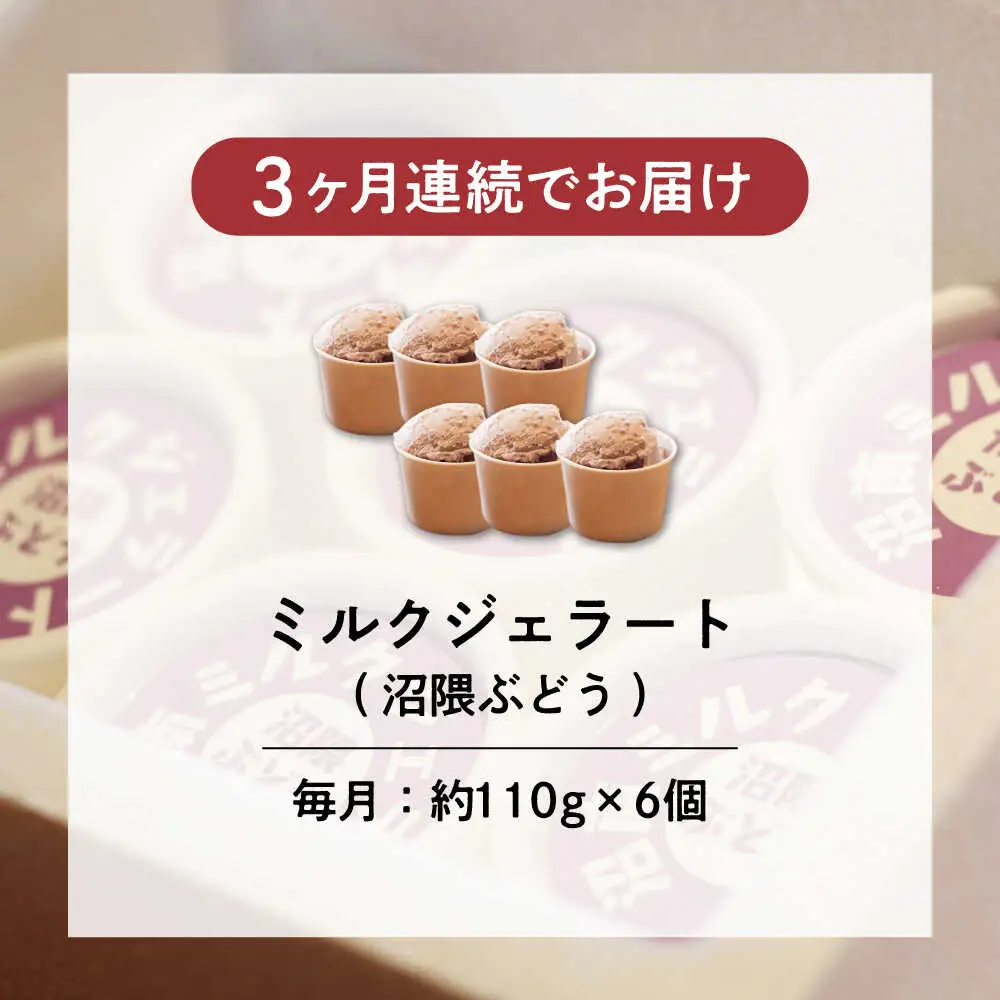 【全3回定期便】沼南ミルクジェラート 沼隈ぶどう ６個 [BAEC042]ジェラート