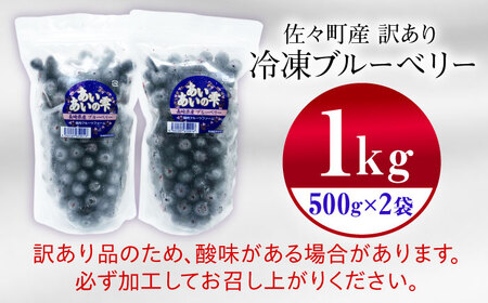 【訳あり】冷凍 ブルーベリー1kg 国産 冷凍 果物 フルーツ ジャム 加工 訳あり 小分け ブルーベリー QAT019