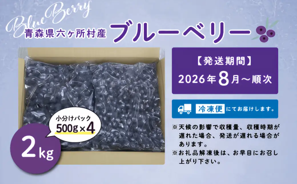 【地元ブランド】ブルーベリー冷凍生実2kg
