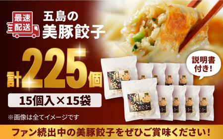 美豚餃子15個入×15袋 五島市/長崎フードサービス[PEL055]