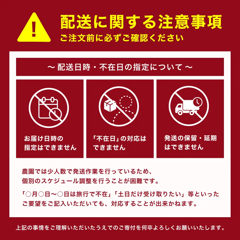 南信州産 訳あり 梨 約3kg 【2026年先行予約】