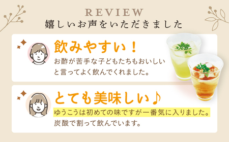 【12回定期便】酢らり 果実酢 3本 うめ/いちご/ゆうこう [CDN131]