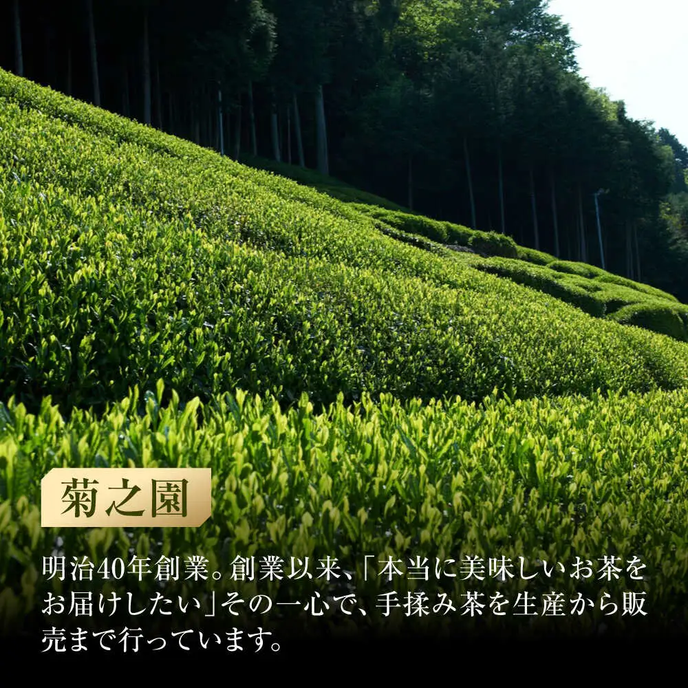 水出し緑茶 セット ボトル付 / 菊之園[AWAG014]緑茶水出し