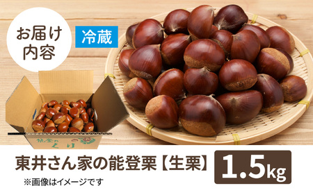【先行予約】東井栗園 の 能登栗 1.5kg