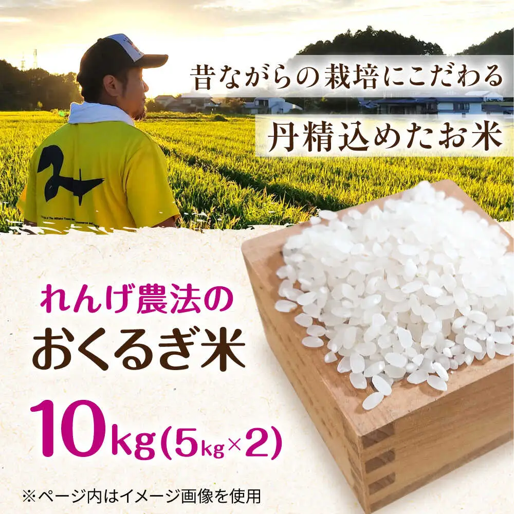 ＜令和7年度産＞れんげ畑のおくるぎ米 10kg/環境保全米 お米 おこめ/御嵩町/株式会社アオキ[AVBN006]
