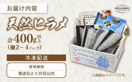 【先行予約】若狭の活〆天然ヒラメ 400g以上 お刺身用柵【2027年3月上旬以降順次発送予定】【 国産 天然 ヒラメ ひらめ 】[m36-b014]