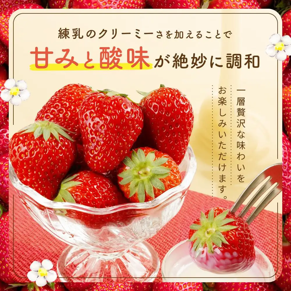 【2027年発送！先行予約】2Lサイズ 静岡いちご「紅ほっぺ」40粒　総重量約600ｇ　【20粒（約300ｇ）×2トレイ】 数量限定　人気　リピート多数