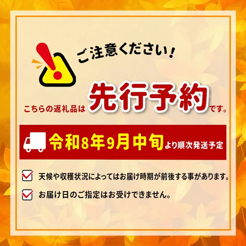 南信州産 梨【南水】3kg ＜2026年9月中旬～下旬発送＞