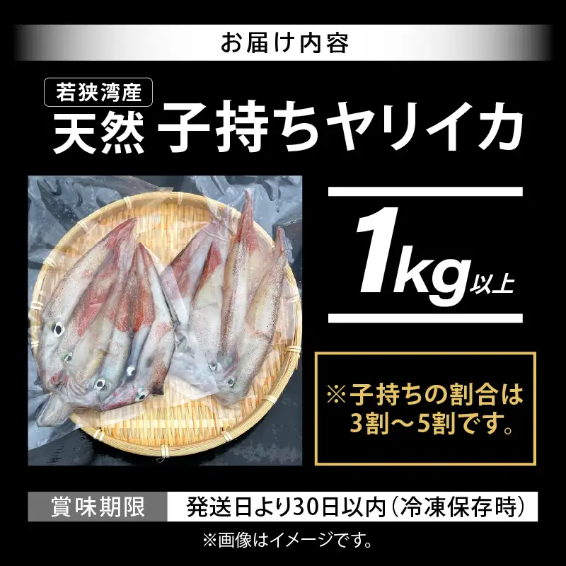 【先行予約】旬の美味しさ 天然 子持ちヤリイカ 1kg 以上【2027年3月上旬以降順次発送予定】【 子持ちやりいか 】[m36-b021]