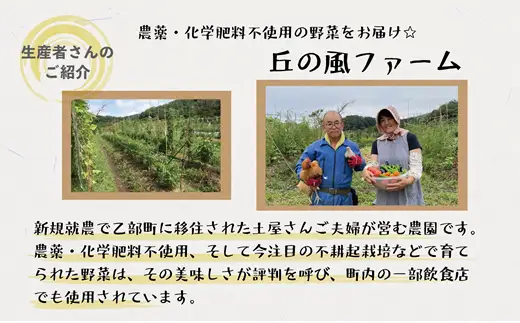 ＜丘の風ファーム 旬野菜詰め合わせセット＞