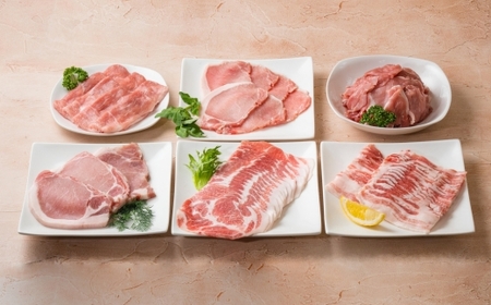【定期便 全12回】お肉の直売所謹製　こだわり和牛&国産豚の美味しいお肉の定期便コース