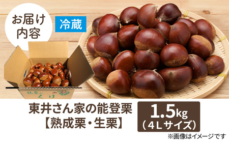 【先行予約】東井栗園の能登熟成栗 1.5kg（4Lサイズ）