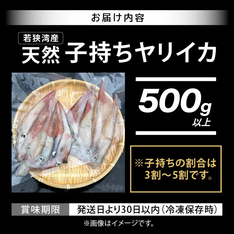 【先行予約】旬の美味しさ 天然 子持ちヤリイカ 500g 以上【2027年3月上旬以降順次発送予定】【子持ちやりいか】 [m36-a041]