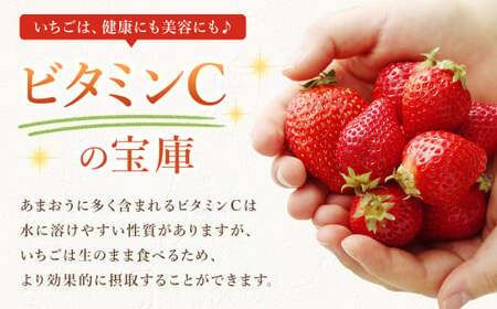 【ふるなびWEEK対象】【2027年2月発送】エコファーマー あまおう 約280g×2パック 計560g ／ いちご 苺 イチゴ ベリー 果物 フルーツ お取り寄せ デザート おやつ